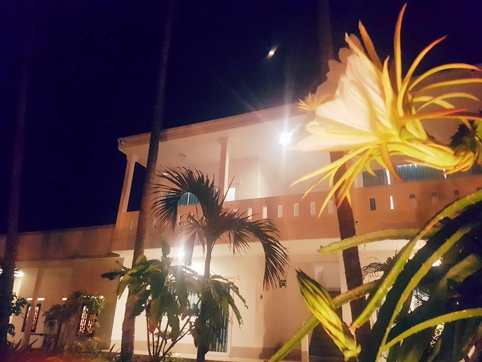 Bien Dua Backpacker Hotel Παν Θιέτ Εξωτερικό φωτογραφία